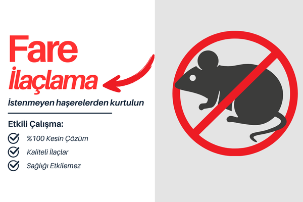 HAŞERE İLE MÜĞCA (1) HAŞERE İLE MÜĞCA (1)