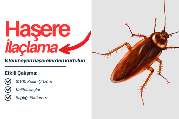 HAŞERE İLE MÜĞCA HAŞERE İLE MÜĞCA